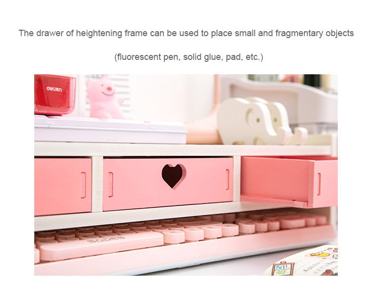 Kawaii Storage Desktop Rack with Drawers