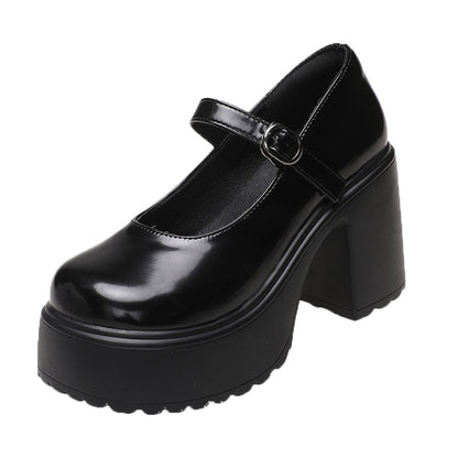 Platform Mary Jane Shoes Chunky Heel