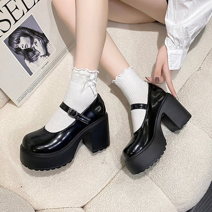 Platform Mary Jane Shoes Chunky Heel