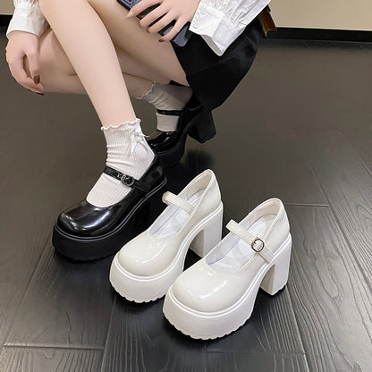 Platform Mary Jane Shoes Chunky Heel