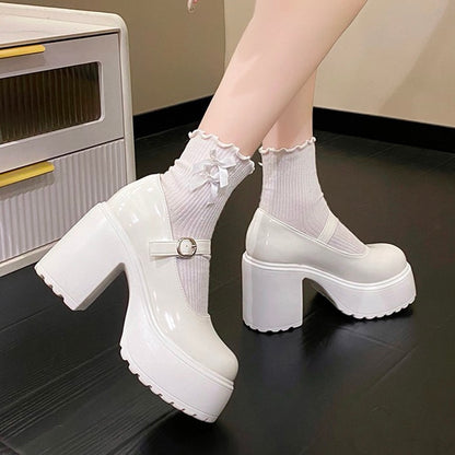 Platform Mary Jane Shoes Chunky Heel